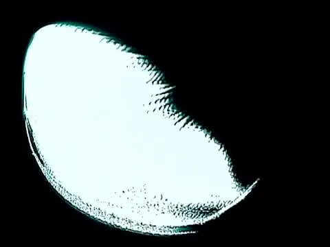 Pollo Lilli x Translator 720